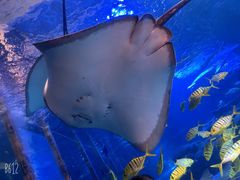 -太平洋海底世界