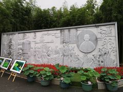 -陈家山荷花公园