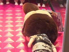 -汤姆熊欢乐世界(滨江店)