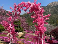 -石岛赤山风景区