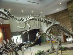 -自贡恐龙博物馆