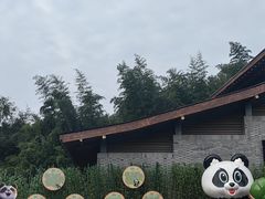 -都江堰中华大熊猫苑