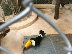 -三亚千古情景区游客中心-接待中心