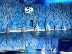 -珠海长隆海洋王国