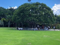 -深圳仙湖植物园