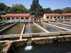 景观位-青龙潭鱼庄