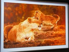 -罗红摄影艺术馆