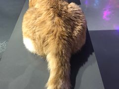 -极木²邸 人与宠物·互动社区
