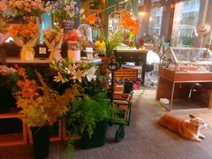-771餐吧·咖啡·西餐·烤肉(金湖广场店)