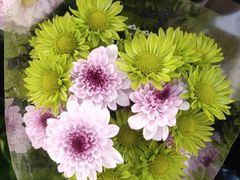 -永辉超市(嘉定宝龙广场店)