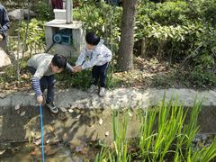 -洪湖家庭农场·团建·露营·会议