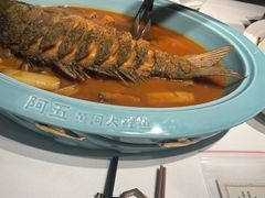-阿五黄河大鲤鱼(英协路店)