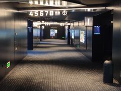 -奥斯卡升龙国际影城(RealD Cinema)