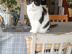 大堂-海边的猫和咖啡馆