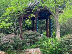 -武汉园博园(武汉自然博物馆)