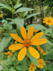 -Oasis Beauty水磨坊科技美肤中心