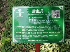 -广西壮族自治区药用植物园
