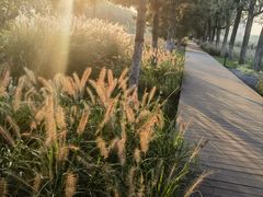 -汉长安城未央宫国家考古遗址公园