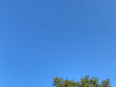 -绍兴鉴湖君澜大酒店