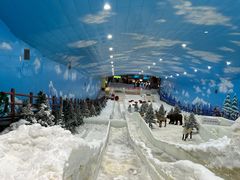 -世界之窗阿尔卑斯冰雪世界