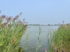 -野鸭湖国家湿地公园