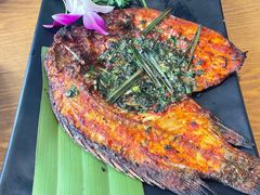 -金塔傣乡·云南民族特色菜·傣味手抓饭(金瓦路店)