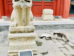 -北京石刻艺术博物馆(五塔寺)
