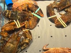 -渔傅·霞浦滩涂海鲜(建平店)