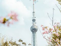 -文华公园(禅城区)