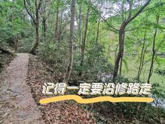 -青龙山国家森林公园