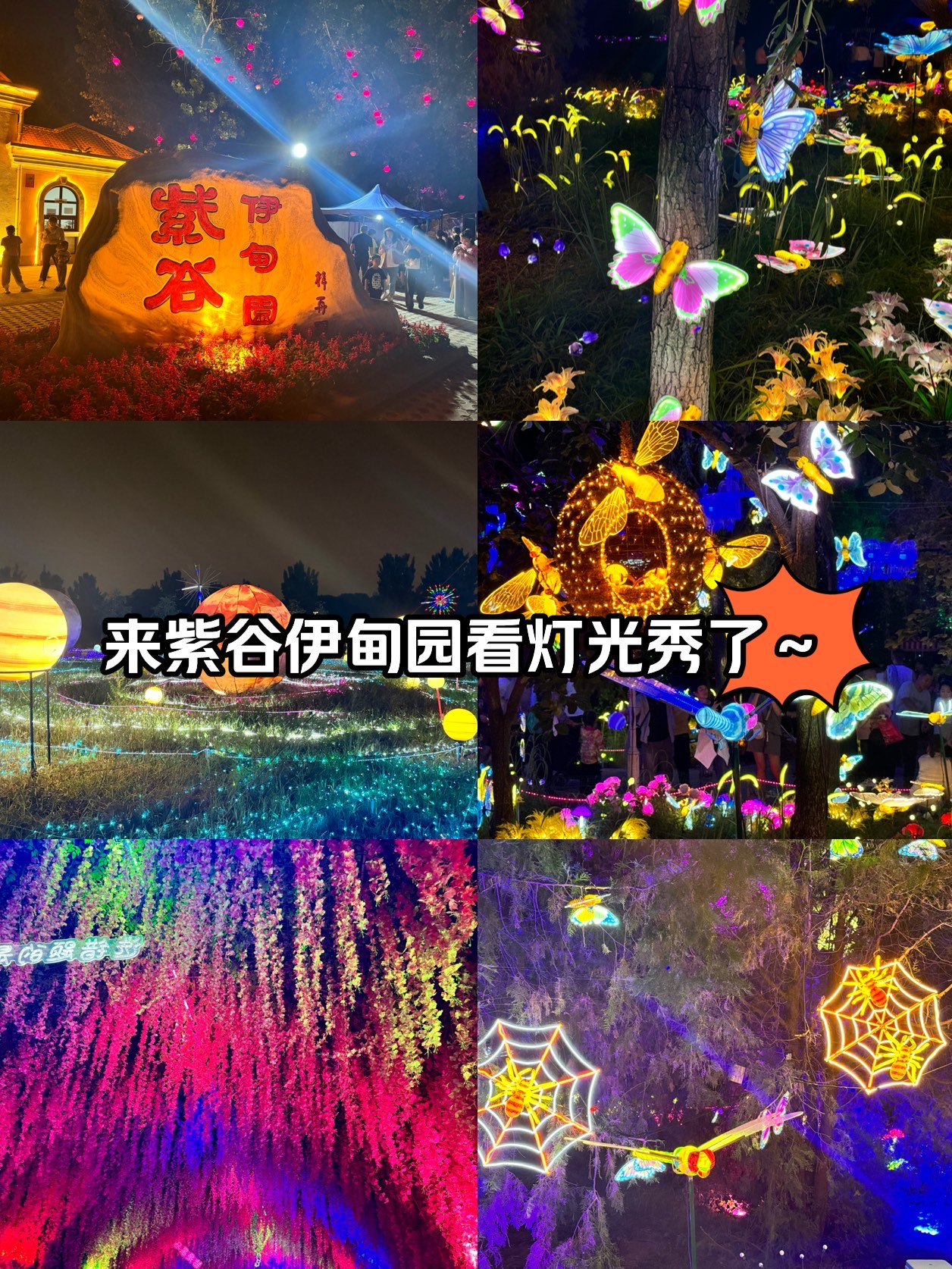 拉萨国际梦幻灯光展图片