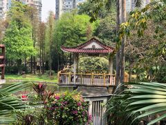 -晓港公园