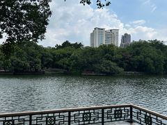 -荔湾湖公园