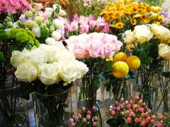 -花未央花店·WEYOUNG