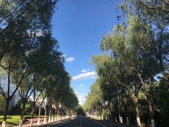 -吉林大学(前卫南区)