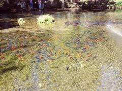 -水磨沟公园