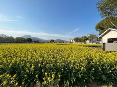 -楠溪江风景名胜区