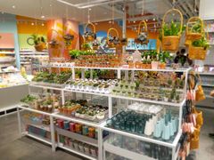 -KKV(重庆光环购物公园店)