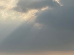 -苏州太湖国家湿地公园