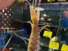 -辉记炭烧海鲜大排档·老字号(福田店)
