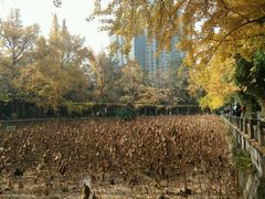 -四川大学(华西校区)