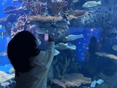 -多彩贵州城极地海洋世界