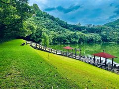 -雁南飞茶田景区