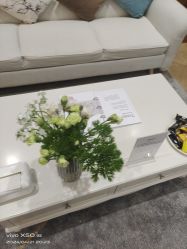 -HEYAN荷妍专业脱毛连锁机构