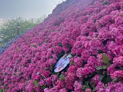 -苏州上方山国家森林公园