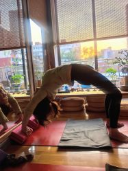 -花间禅净·瑜伽