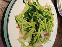 黎蒿炒腊肉-民间瓦缸煨汤館(嵩山路店)