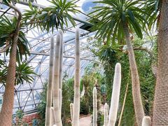 -北京植物园-展览温室