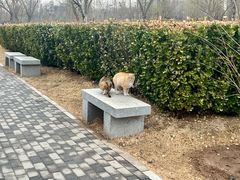 -燕郊植物园