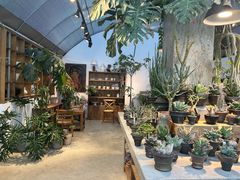 -自由生长植物工作室(深港花卉中心店)
